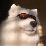 Hernán Barrios avatar